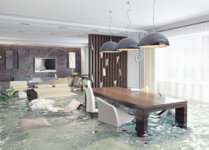 water damage services pittsburgh, water damage cleanup company pittsburgh