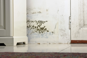 water damage services pittsburgh, water damage restoration pittsburgh,